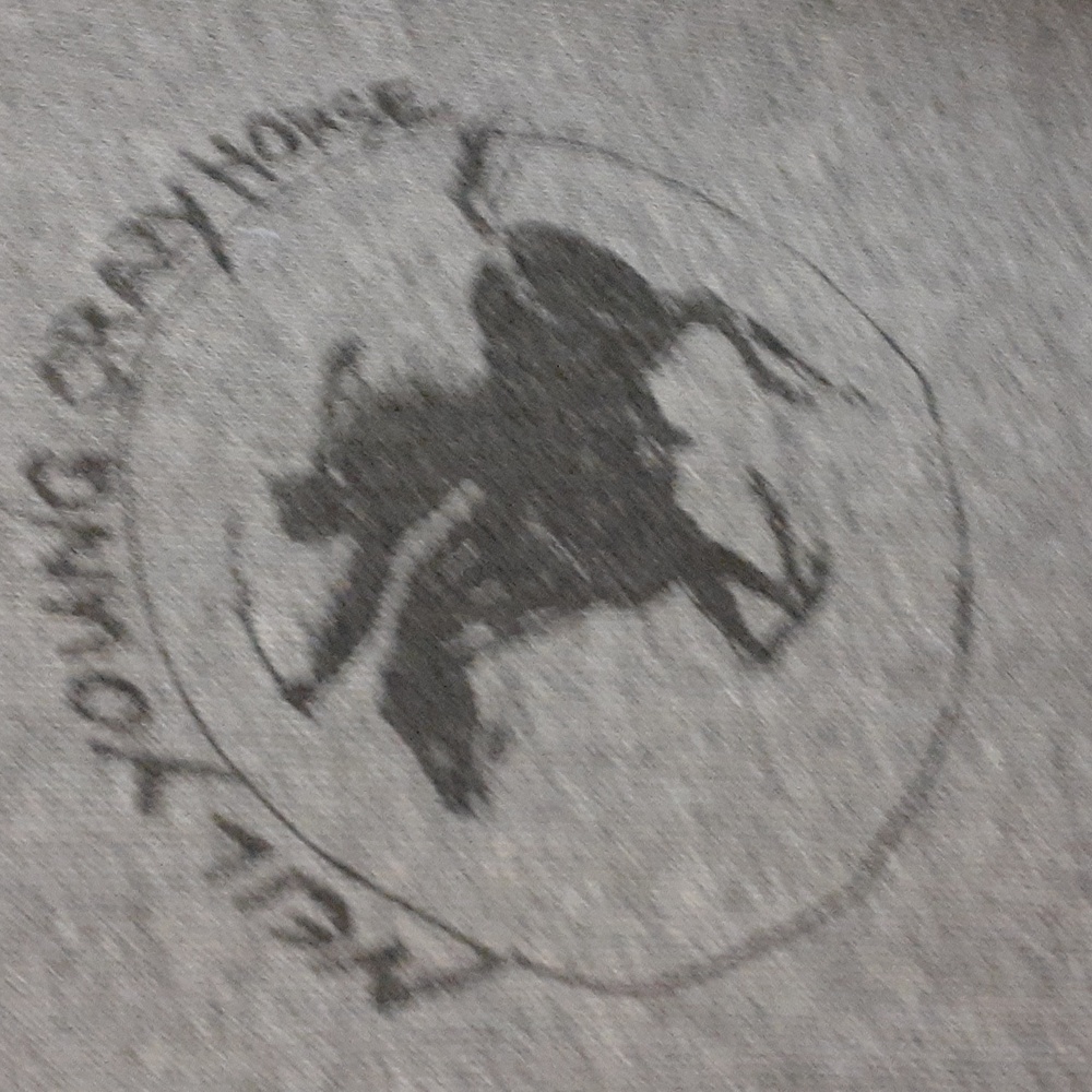 neil young crazy horse adult med. grey hoodie - Picture 2 of 4